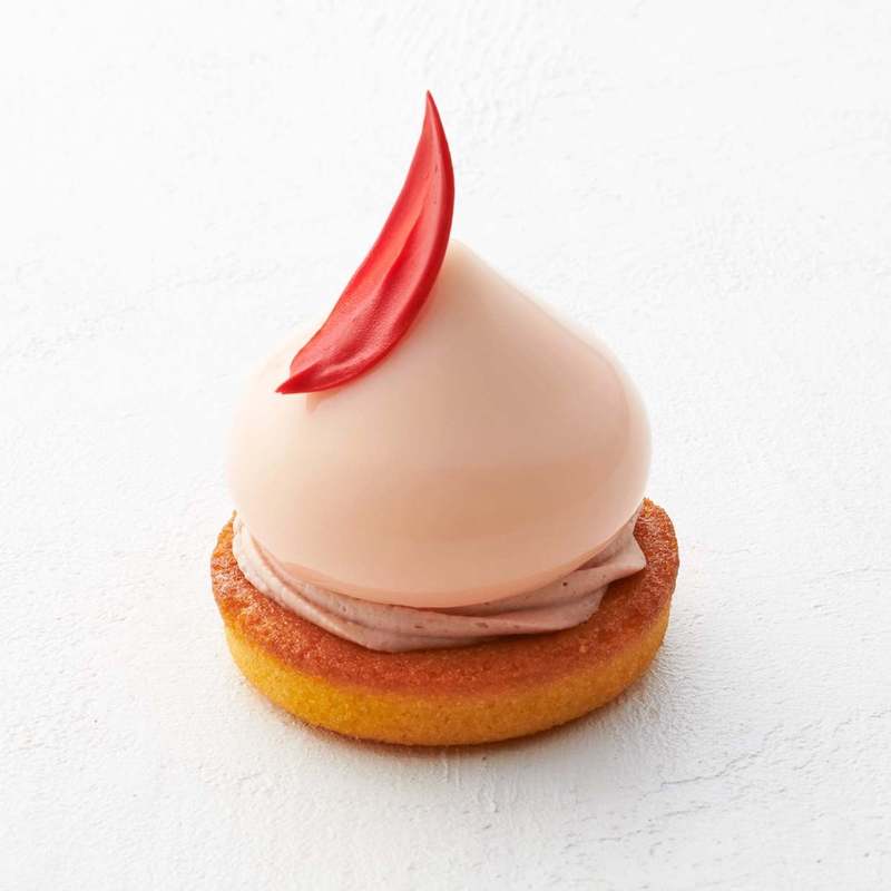 四季菓子の店 HIBIKA（ひびか）は、9月1日（金）より季節の彩り豊かな“秋のケーキ”を販売しております。