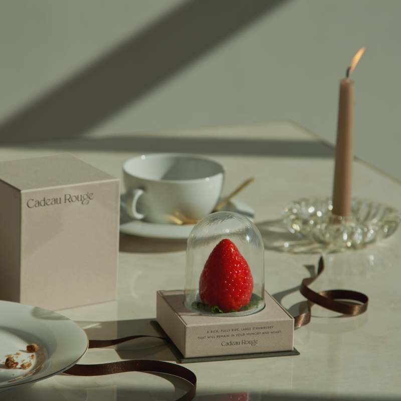 ビームスがプロデュースした完熟大粒イチゴブランド〈Cadeau Rouge（カドー ルージュ）〉が3月15日（水）から開催する伊勢丹新宿本店のイベントに期間限定出店