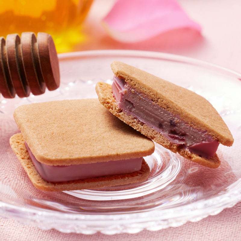 VANILLABEANSの生チョコレートサンドに新作登場!甘酸っぱい春色の味わい、母の日ギフトにも。3月31日(金)からオンラインショップにて順次スタート