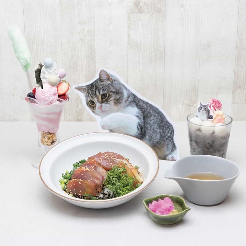「もちまるカフェ in OSAKA」渋谷パルコに続いて、心斎橋パルコに巡回！