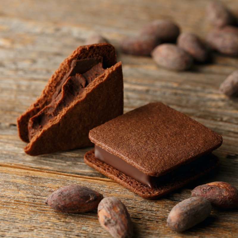ルミネ横浜にVANILLABEANS がPOP UPオープン。サスティナブルな横浜発のチョコレートブランド11月2日(木)〜11月19日(日)横浜駅中央通路イベントスペースに登場！