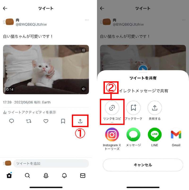 【2023年7月最新】Twitterで「Twitterへの投稿動画」だけ検索する簡単な方法