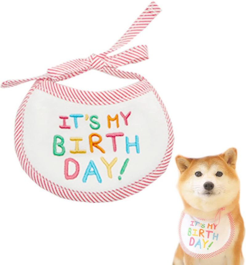 愛猫・愛犬へのおすすめプレゼントを集めました！大切なペットの誕生日や記念日に心のこもったギフトを贈ろう