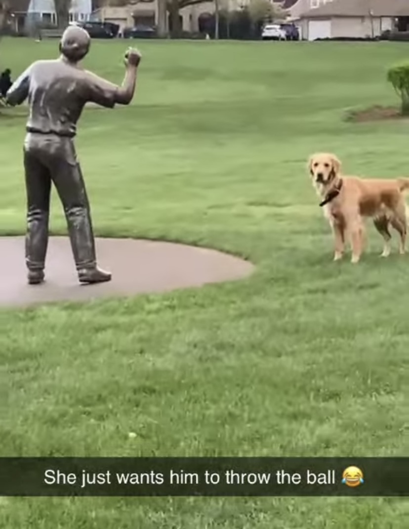 ボールを投げてくれそうな男性を見つけて、期待して待っている犬。でも、その人は絶対ボールを投げてくれないと思うよ・・・【アメリカ・動画】