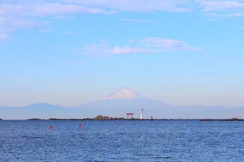 【神奈川県・葉山】ダイバー必見！2022年秋、全国各地のガイドたちが薦める海はここだ！ 連載No.14