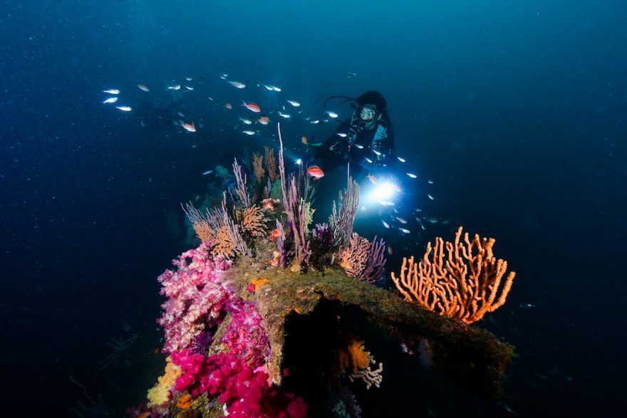 【静岡県・熱海】ダイバー必見！2022年夏、全国各地のガイドたちが薦める海はここだ！ 連載No.5