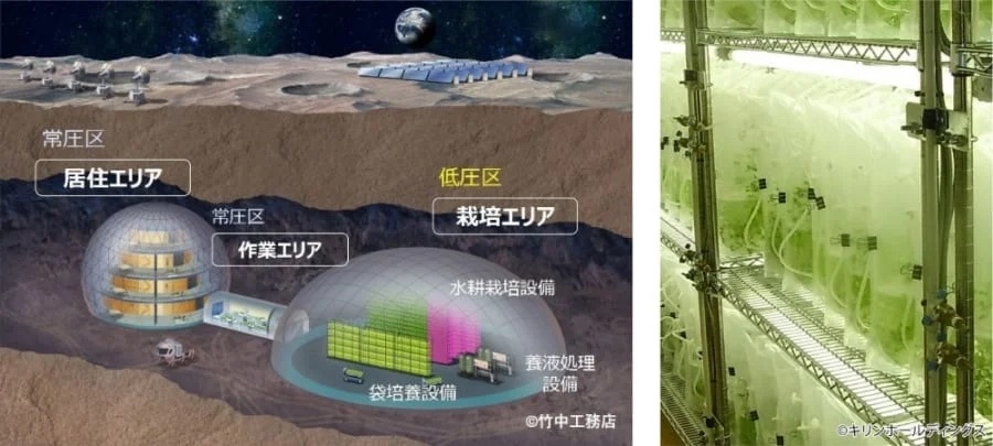 日本が宇宙で「袋型培養槽によるレタスの栽培」に成功　世界初の快挙