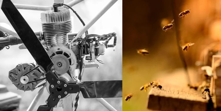 まるで昆虫！　モーターを使わずに羽ばたいて飛ぶ小型ドローンが開発される