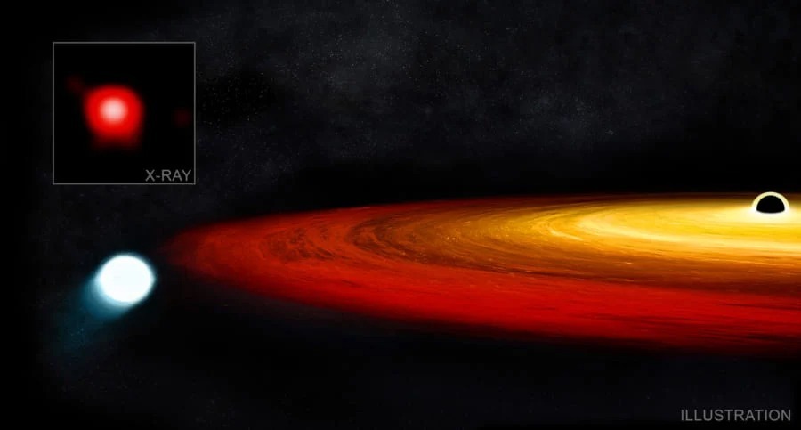 ブラックホールに吸い込まれても生還した珍しい星を発見