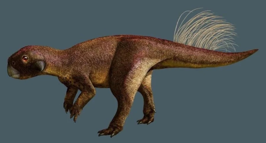 史上初、恐竜の化石に「おへそ」の痕跡を発見！　いや待って爬虫類のおへそって何？