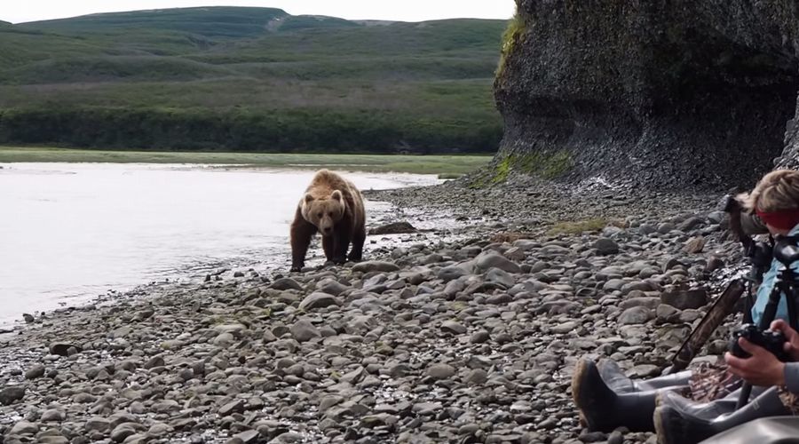 【衝撃映像】緊迫感溢れる2分間。ヒグマがわずか数メートル先を通り過ぎる