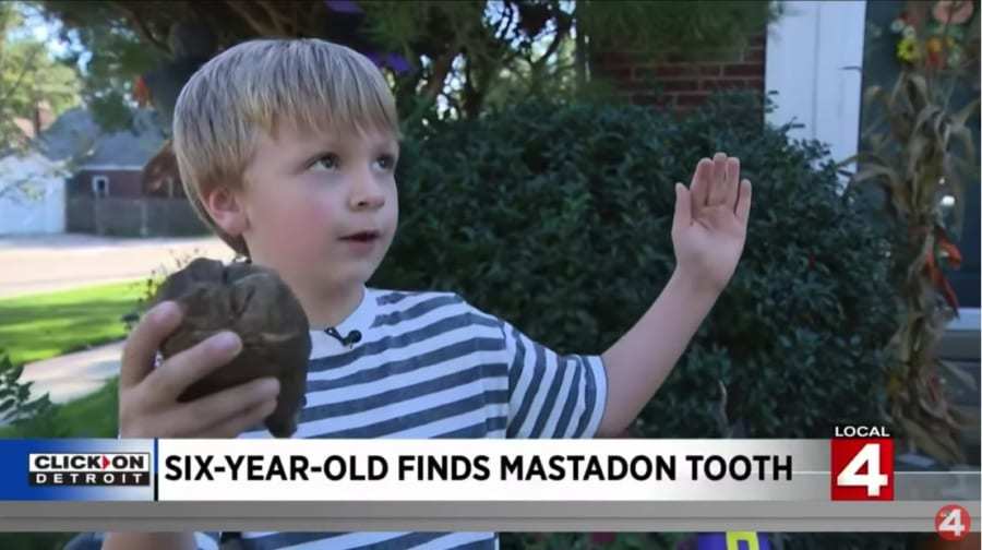 6才の少年が古代ゾウ「マストドン」の歯を発見！1万2000年前に絶滅