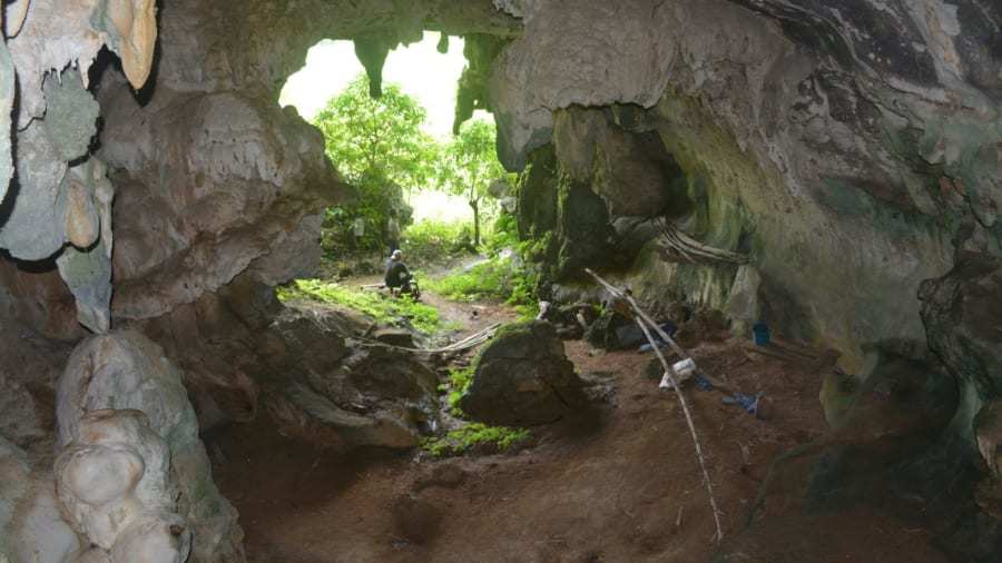 4万5000年前のブタ、「最古の動物壁画」をインドネシアの洞窟で発見！