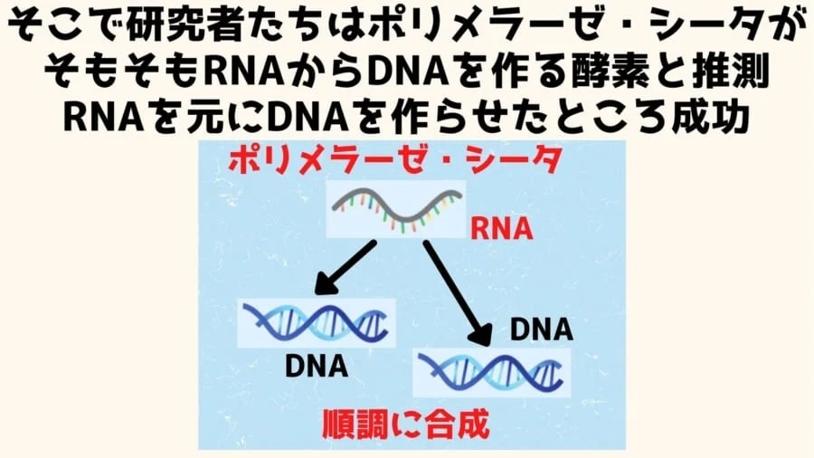 人間は「セントラルドグマ」を逆行できる可能性があると明らかに！　RNAからDNAを作ることに成功
