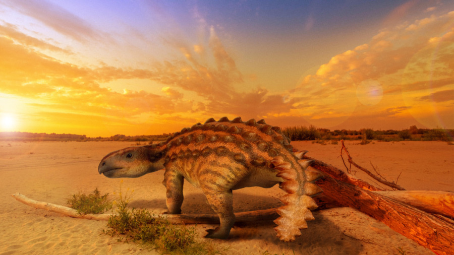 「こん棒の尻尾」を武器にする新種恐竜を発見 チリ大学