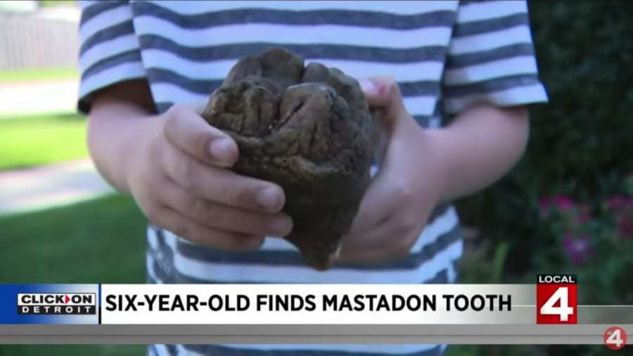 6才の少年が古代ゾウ「マストドン」の歯を発見!1万2000年前に絶滅