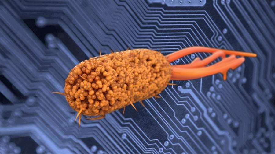 大腸菌を人工知能にできる！？　「〇✕ゲーム」を学習し人間と勝負が可能に！