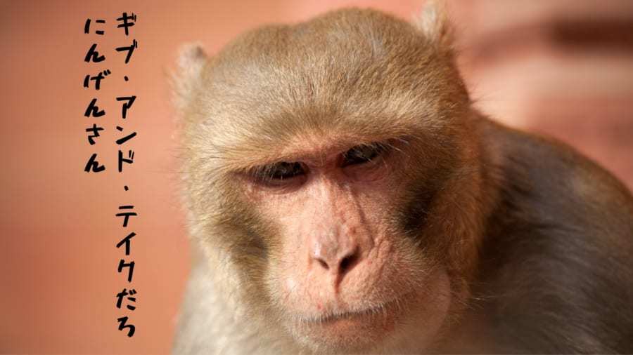 サルの脳に500本の電極を刺し込んで「仲間を見分ける脳回路」を発見
