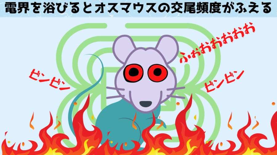 電界を浴びると「拘束されたマウス」のストレスが緩和すると判明！