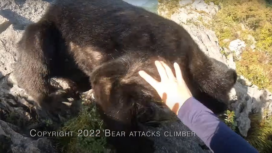 【九死に一生を得た映像 】登山中にクマの襲撃！咄嗟に反撃してクマを見事に撃退した動画が世界で話題に！！