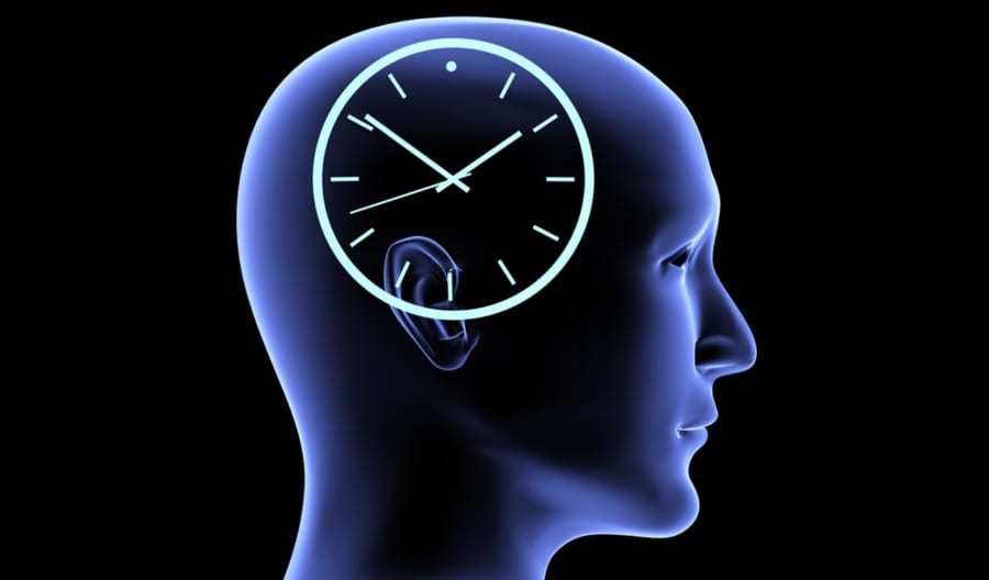「時間の長短」を感じる脳の部位が特定される！ナゾだった”時が早く過ぎる日”の原因とは？
