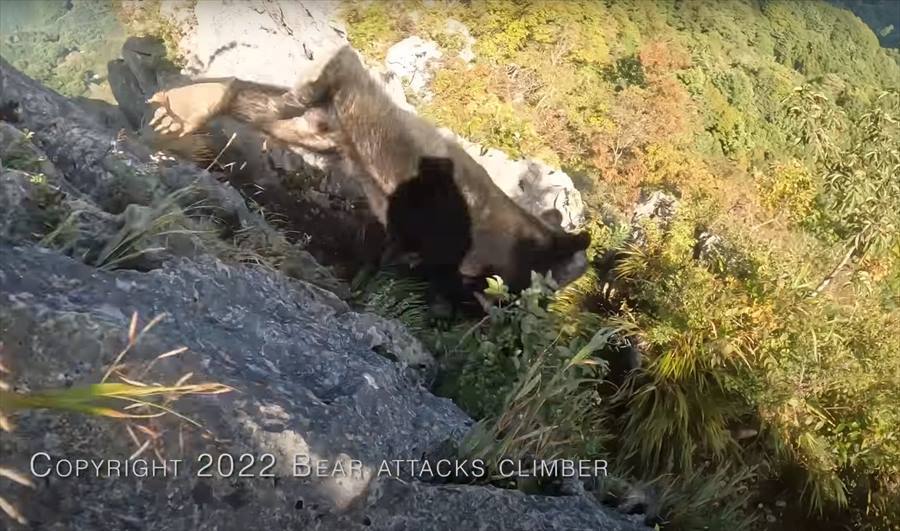 【九死に一生を得た映像 】登山中にクマの襲撃！咄嗟に反撃してクマを見事に撃退した動画が世界で話題に！！