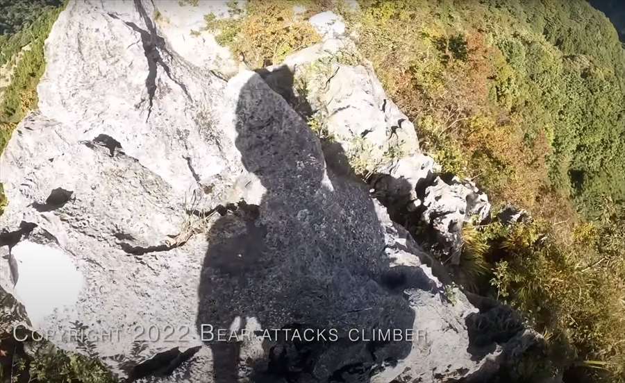 【九死に一生を得た映像 】登山中にクマの襲撃！咄嗟に反撃してクマを見事に撃退した動画が世界で話題に！！