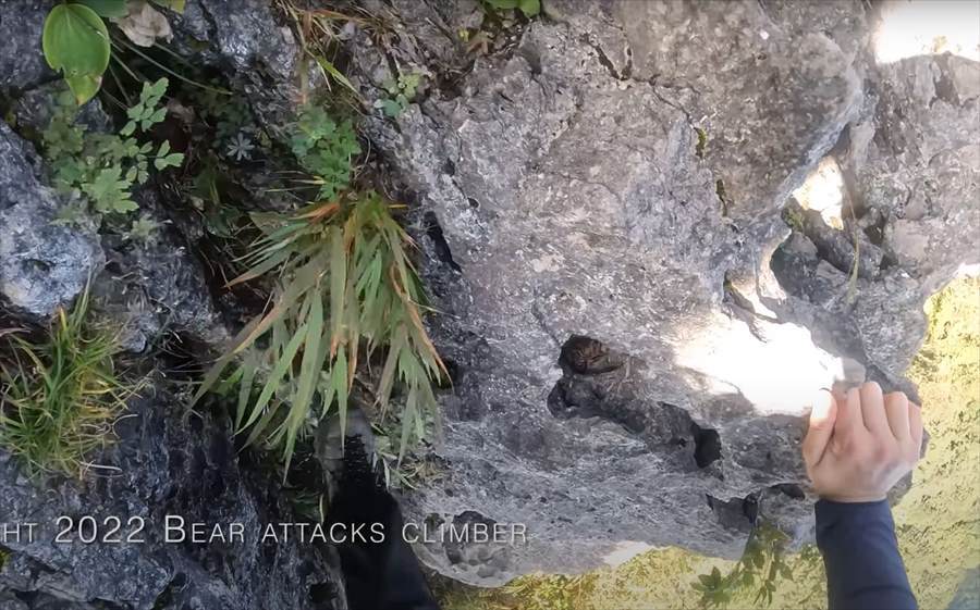 【九死に一生を得た映像 】登山中にクマの襲撃！咄嗟に反撃してクマを見事に撃退した動画が世界で話題に！！