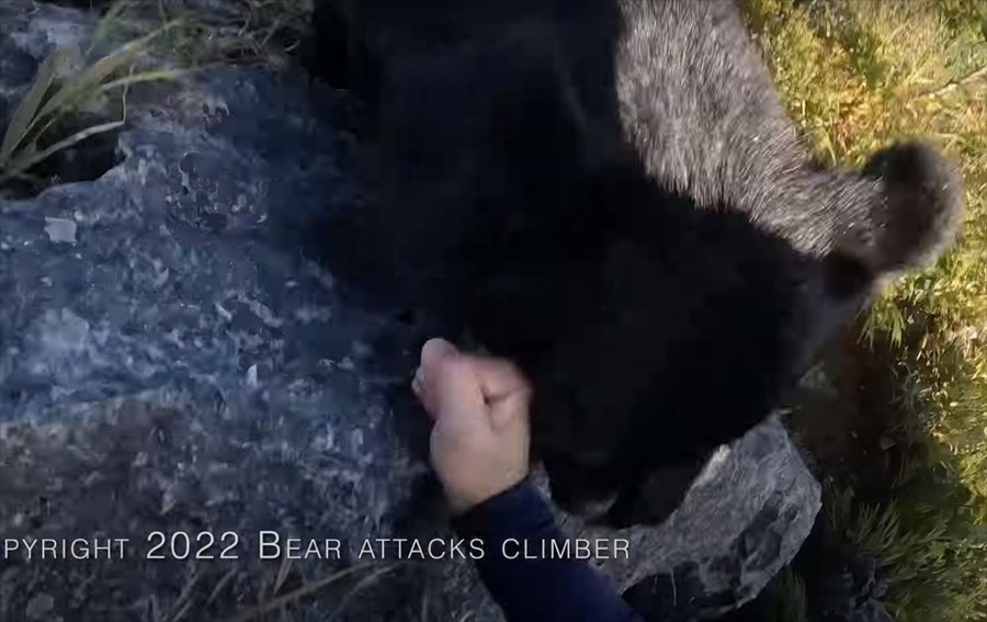 【九死に一生を得た映像 】登山中にクマの襲撃！咄嗟に反撃してクマを見事に撃退した動画が世界で話題に！！