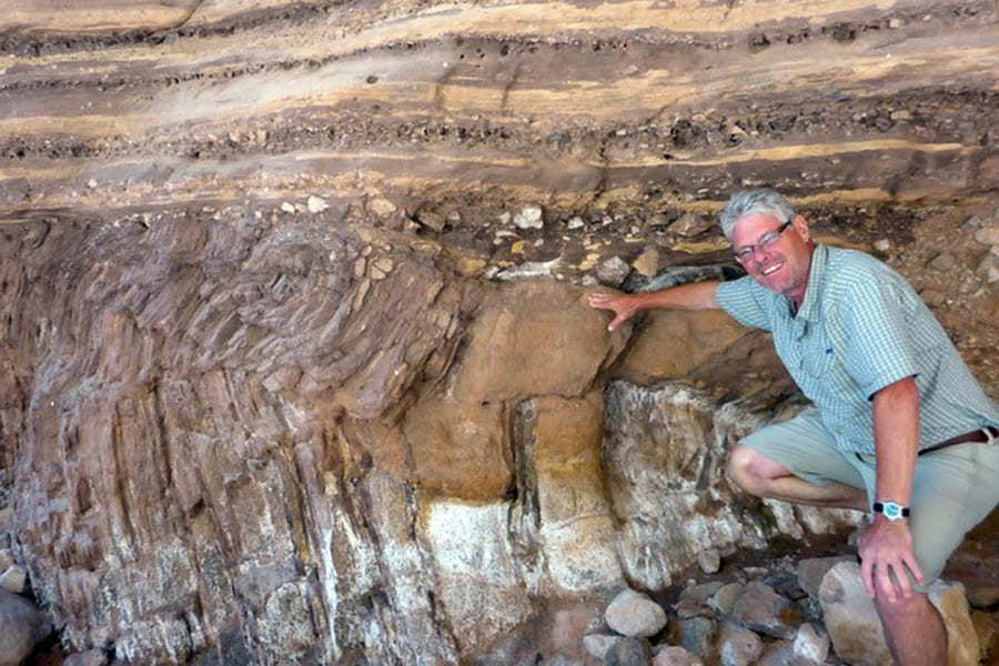 カンブリア紀の海中生物は海底に「トンネル」を掘って暮らしていた