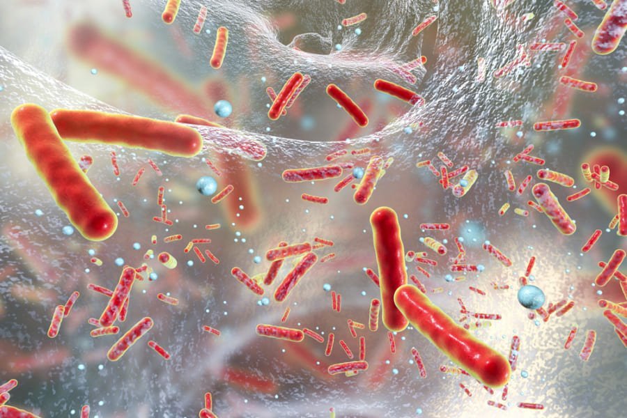 細菌は宇宙で抗生物質耐性を持った”危険な存在”になるかもしれない