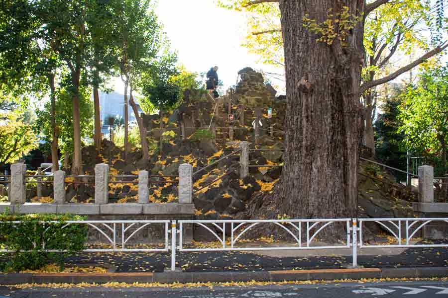 小さくても山登り気分　都内現存最古の「富士山」登ってみた