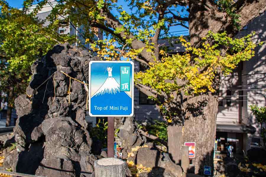 小さくても山登り気分　都内現存最古の「富士山」登ってみた