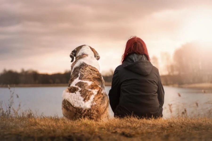 実は犬の性格は「犬の種類」とほとんど関係していなかった！