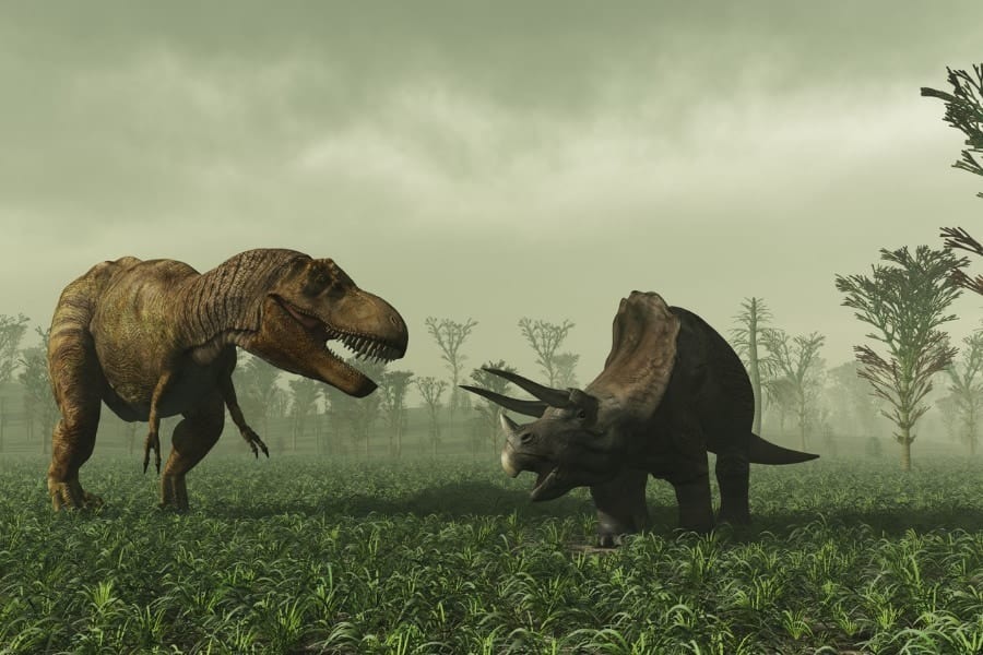 ティラノサウルスの腕はなぜ短いの？　古生物学の謎に斬新な新説が登場！