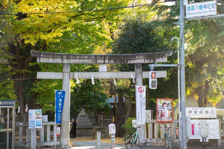 小さくても山登り気分　都内現存最古の「富士山」登ってみた