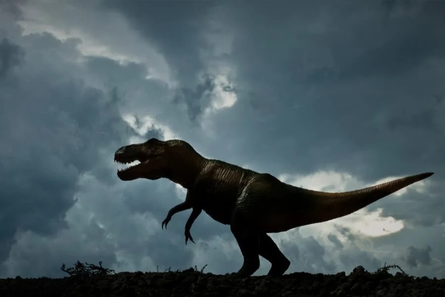 ティラノサウルスの腕はなぜ短いの？　古生物学の謎に斬新な新説が登場！