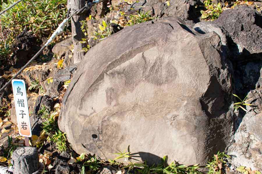 小さくても山登り気分　都内現存最古の「富士山」登ってみた