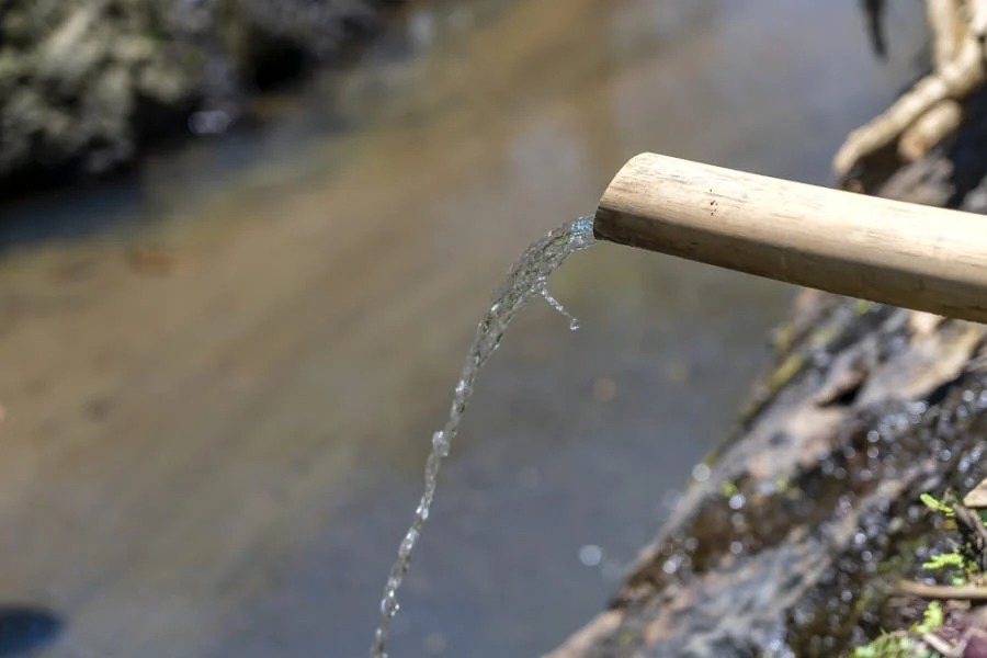 重金属を好むバクテリアを使って汚染水の浄化に成功