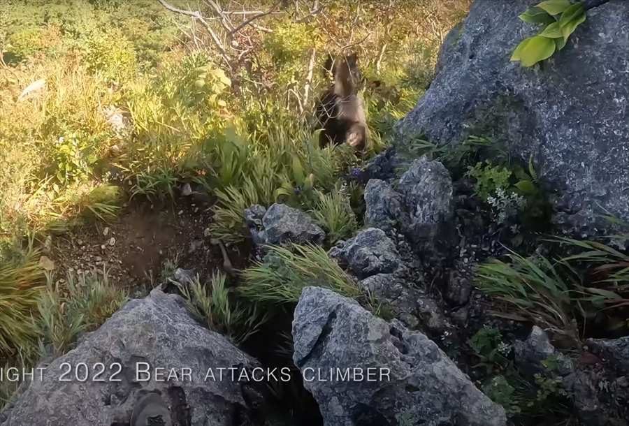 【九死に一生を得た映像 】登山中にクマの襲撃！咄嗟に反撃してクマを見事に撃退した動画が世界で話題に！！