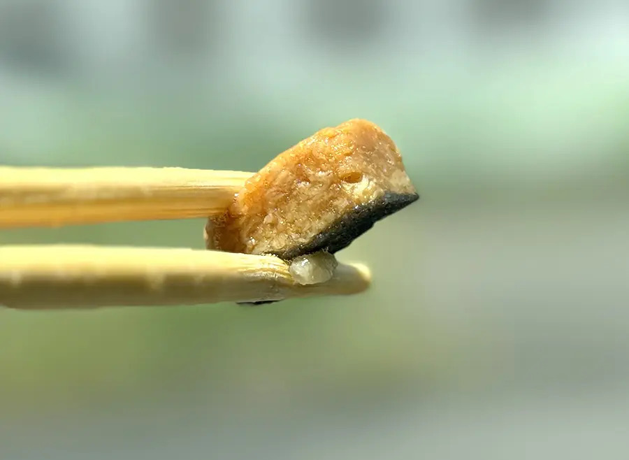 うなぎにうるさい浜松市民が「日清謎うなぎ丼」の再現度を確かめてみた