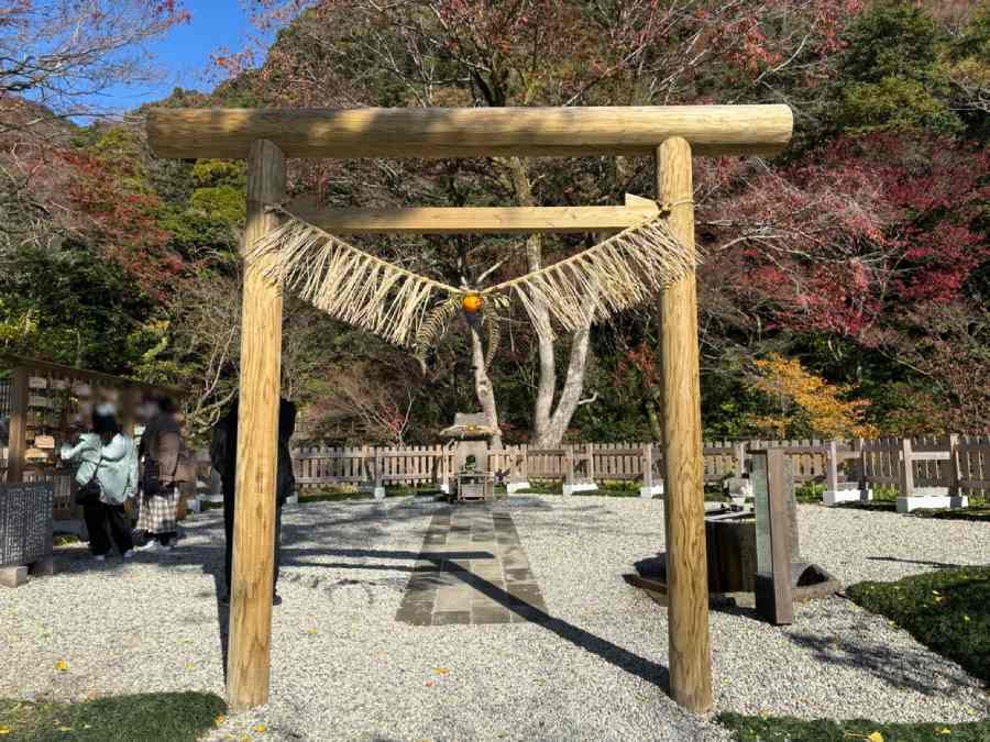 鹿児島・仙厳園の「猫神社」が遷座　新たな鎮座地を参拝してきた