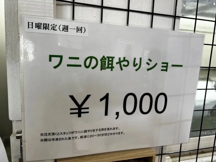 深谷爬虫類館のワニの餌やりショーが週一開催に　理由は「ワニが太ってきた為」