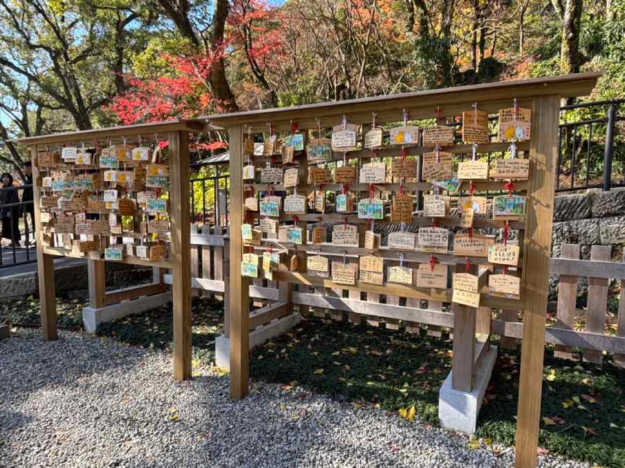 鹿児島・仙厳園の「猫神社」が遷座　新たな鎮座地を参拝してきた