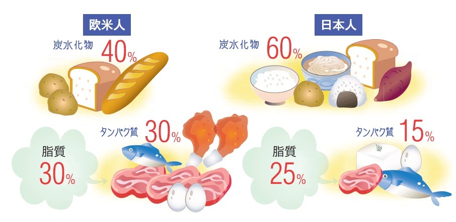 ボディメイクに脂質は悪者？上手に付き合うポイント