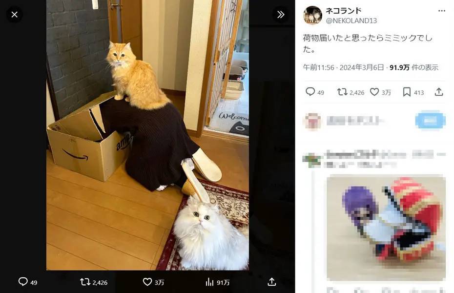 夫婦でフリーレンごっこ！？ダンボール箱に入る飼い主に猫たちも興味津々