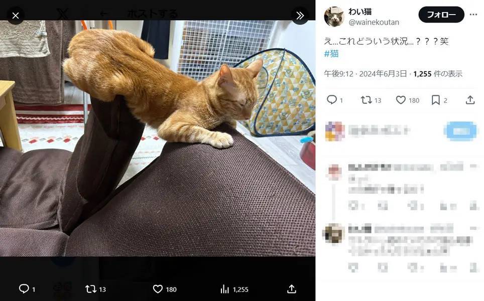 器用すぎんか！？橋のように架かって寝る猫