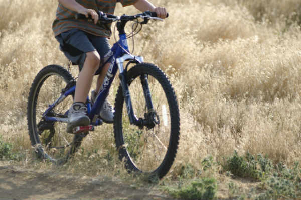 自転車 最高 速度 ママチャリ