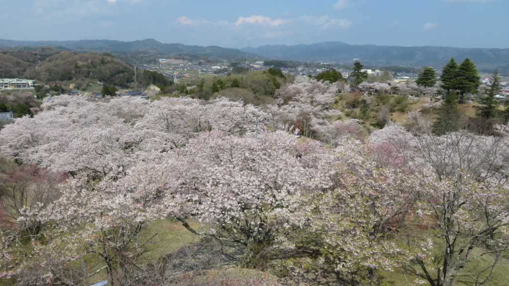 暮らし～の